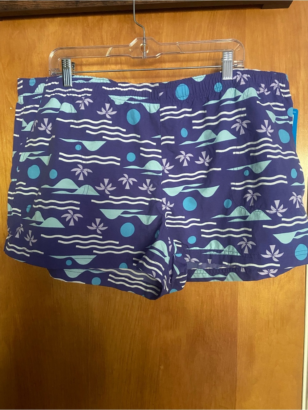 🩵🏄‍♀️💜Columbia Purple/Teal Athletic Shorts NWT